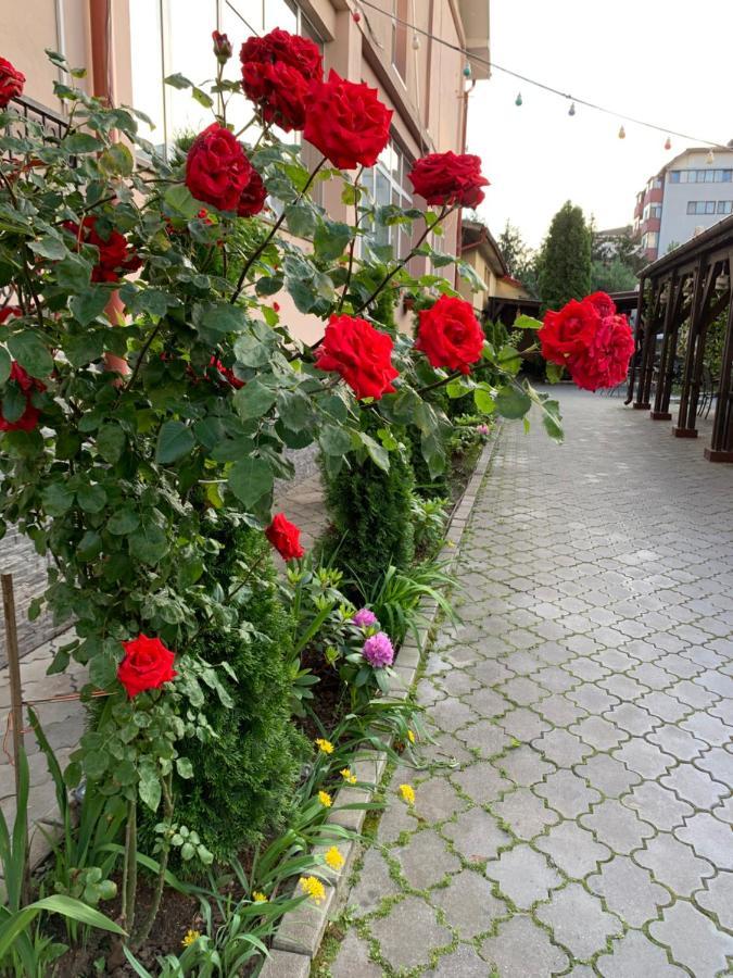 Pensiunea Passion Bukares Bagian luar foto