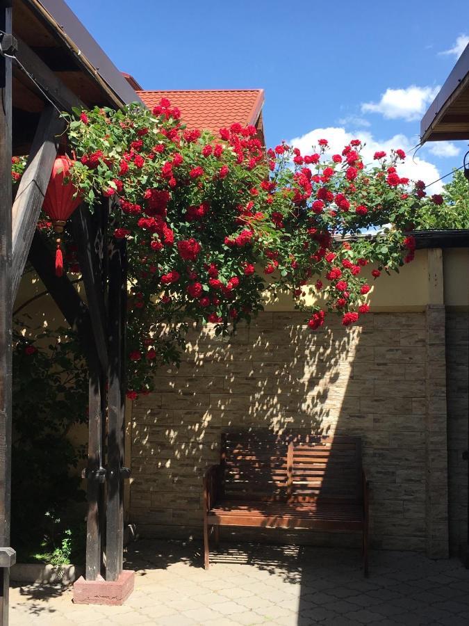 Pensiunea Passion Bukares Bagian luar foto